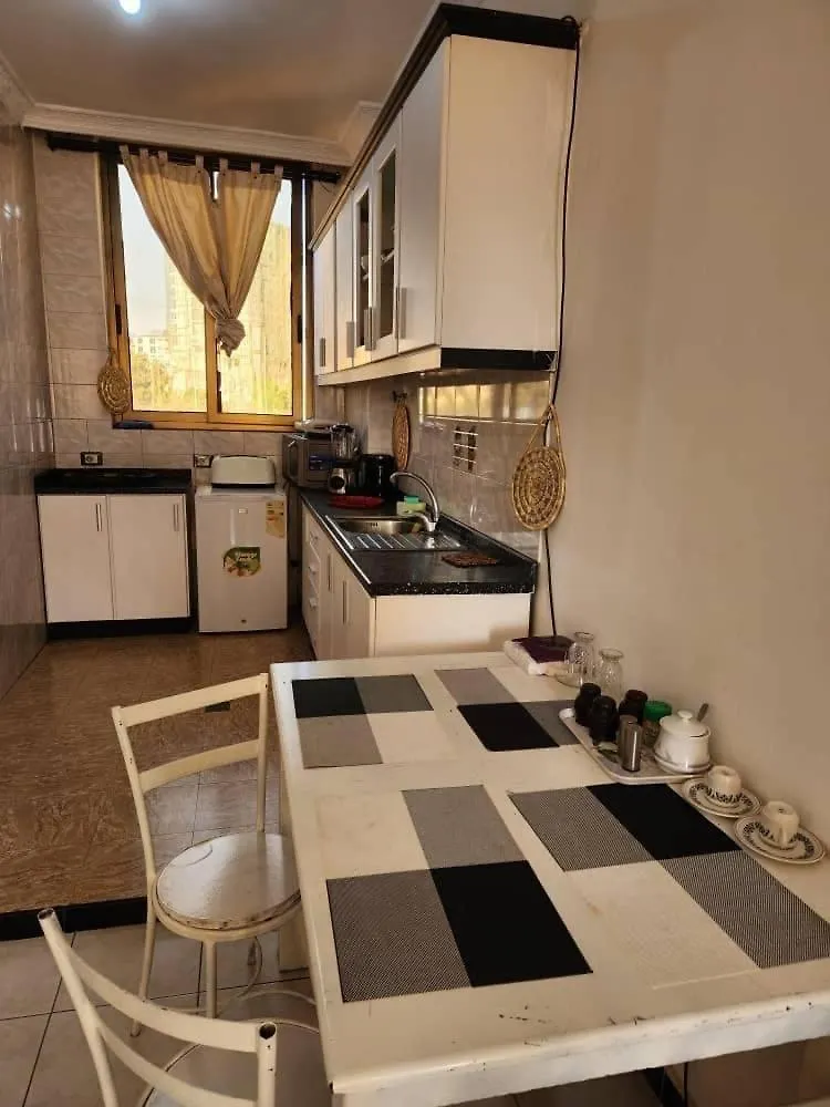 Seminat Spaces Addis Ababa Apartment
