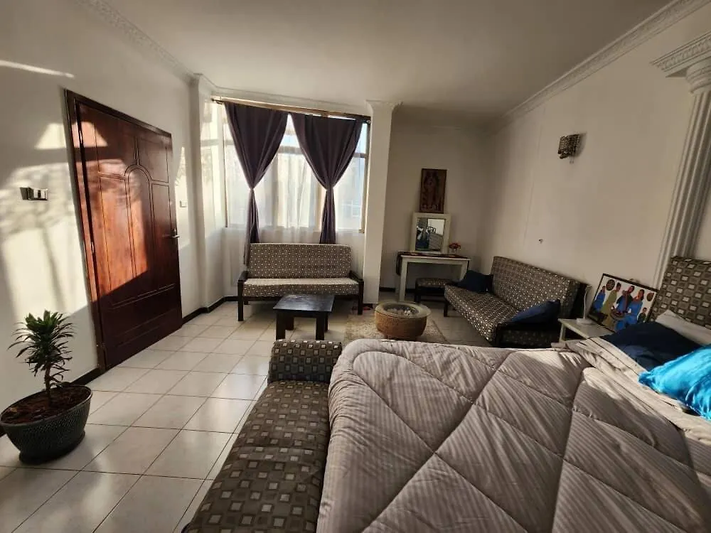 Seminat Spaces Addis Ababa Apartment